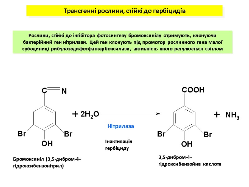 Нітрилаза Бромоксиніл (3,5-дибром-4-гідроксибензонітрил) 3,5-дибром-4-гідроксибензойна кислота Трансгенні рослини, стійкі до гербіцидів Рослини, стійкі до інгібітора
